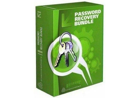 Password Recovery Bundle - Enterprise Lifetime EN Global Software License Digital Key