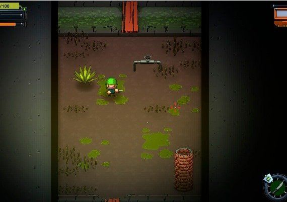 NEO-NOW! EN/PT/ES Global Steam Digital Key