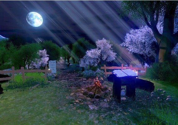 Heaven Forest: Nights EN Global Steam Digital Key