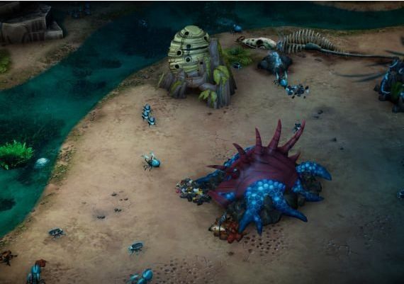 The Hive EN Global Steam Digital Key