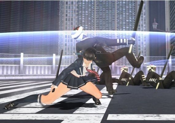 Mitsurugi Kamui Hikae EN/JA Global Steam Digital Key