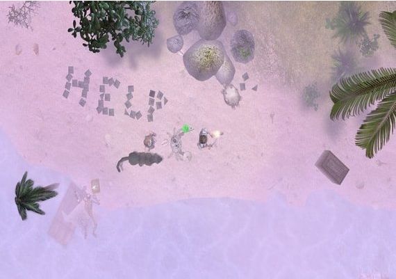 Driftmoon EN Global Steam Digital Key