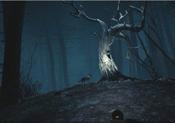 Blair Witch VR Global Steam Digital Key