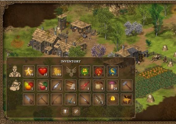 Hero of the Kingdom Global Steam Digital Key