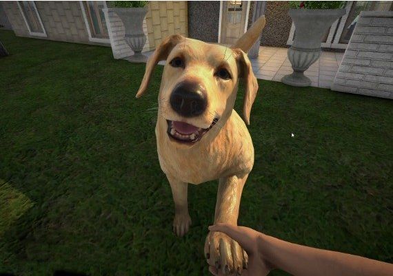 Pets Hotel Global Steam Digital Key