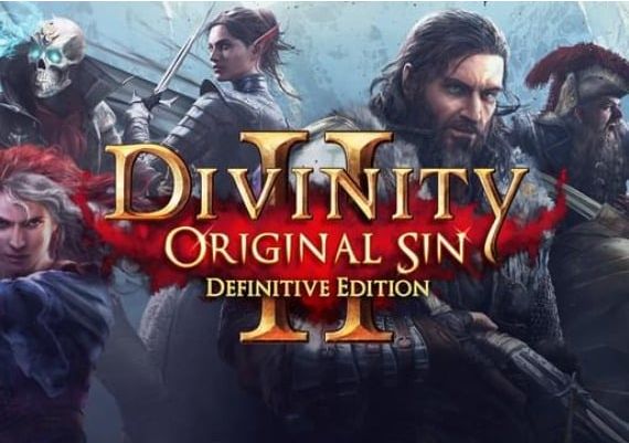 Divinity: Original Sin 2 Definitive Edition EN/DE/FR/RU EU GOG Digital Key