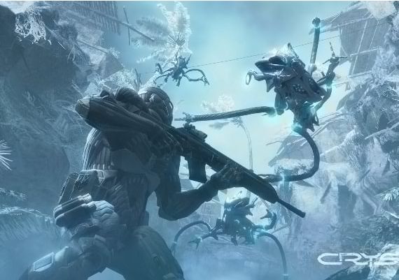 Crysis EN/DE/IT/PL/CS Global GOG Digital Key