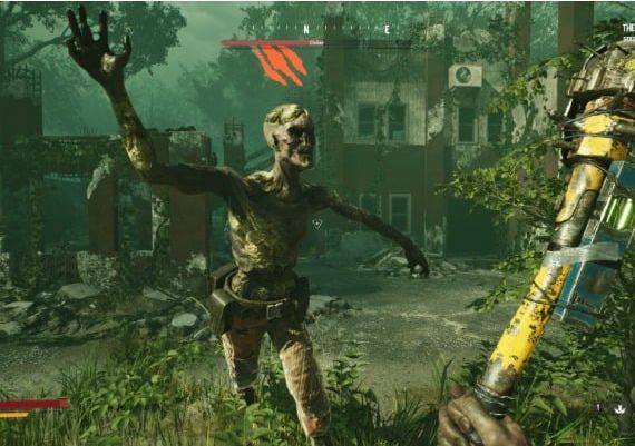 SERUM Supporter Edition Global Steam Digital Key