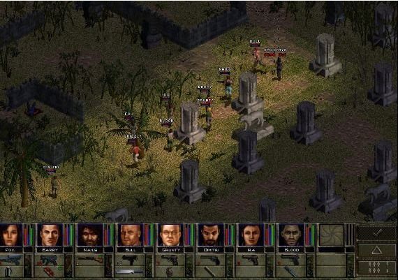 Jagged Alliance 2: Wildfire EN/DE/FR/PL/RU Global Steam Digital Key