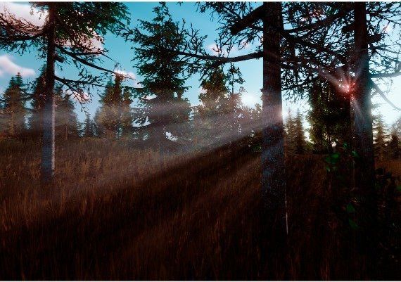 Awesome Metal Detecting EN/PL/RU/UK Global Steam Digital Key