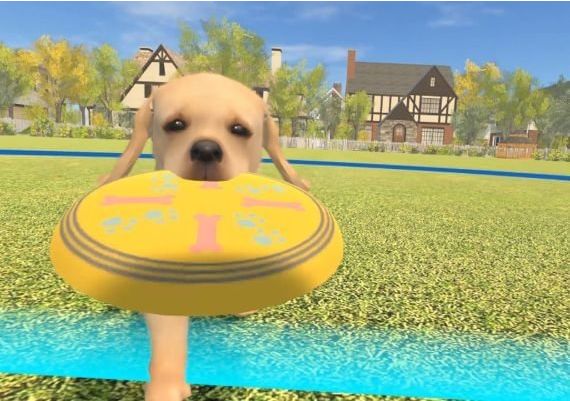 Dream Pets VR EN/JA Global Steam Digital Key