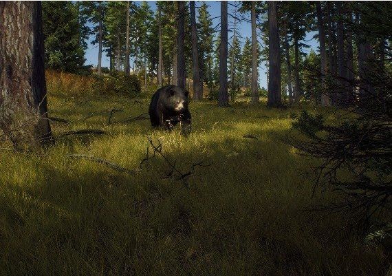 Way of the Hunter - Season Pass DLC EN Argentina Xbox Series Digital Key