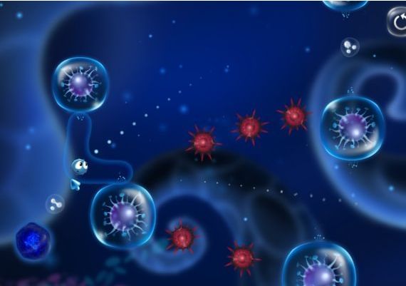 Cyto EN Global Steam Digital Key