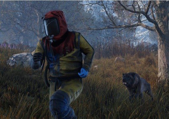 Rust Console Edition EN EU Xbox One/Series Digital Key