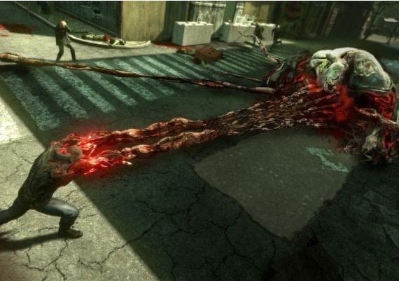 Prototype 2 + Radnet - Bundle EN Global Steam Digital Key