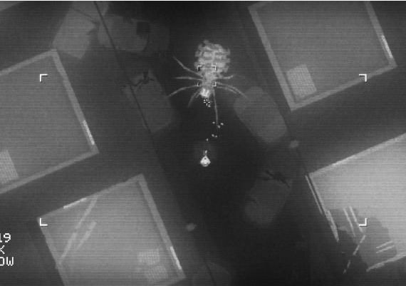 Noct EN Global Steam Digital Key