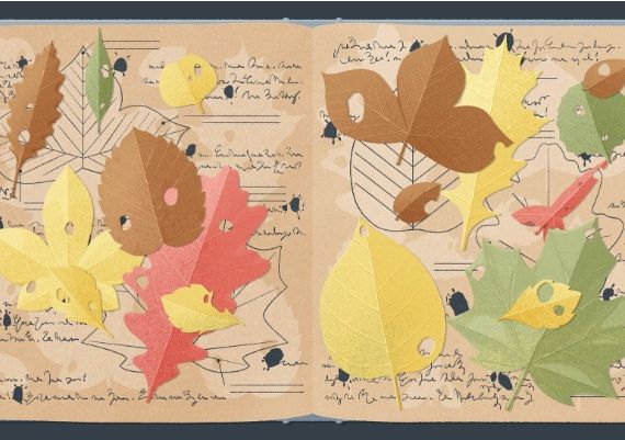 A Little To The Left: Seeing Stars DLC Global Steam Digital Key