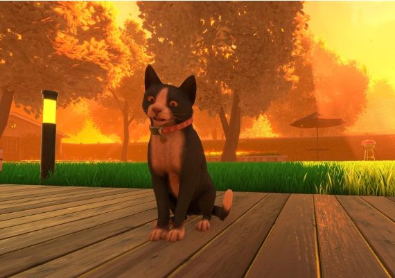 Copycat Global Steam Digital Key