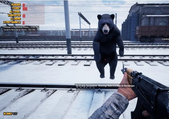 Trans-Siberian Railway Simulator Global Steam Digital Key