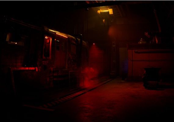 Zoochosis EN Global Steam Digital Key