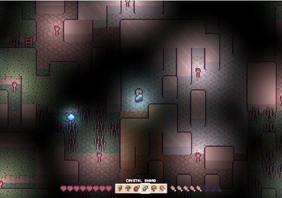 Miniland Adventure Global Steam Digital Key