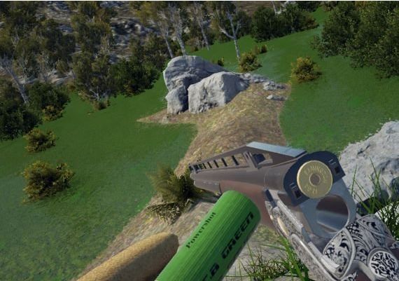 Project VR Wild Hunt EN Global Steam Digital Key