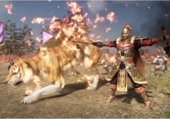 Dynasty Warriors 9: Empires United States Steam Digital Key