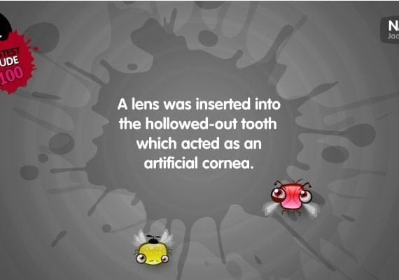 The Jackbox Party Quintpack EN EU Steam Digital Key