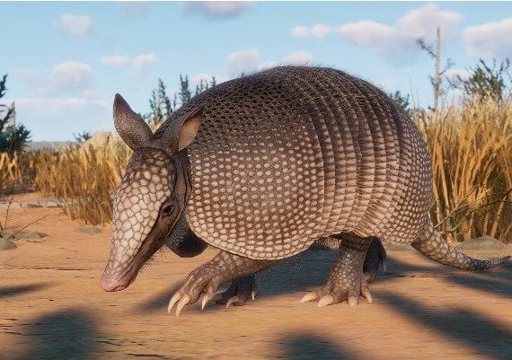 Planet Zoo - Grasslands Animal Pack DLC Global Steam Digital Key