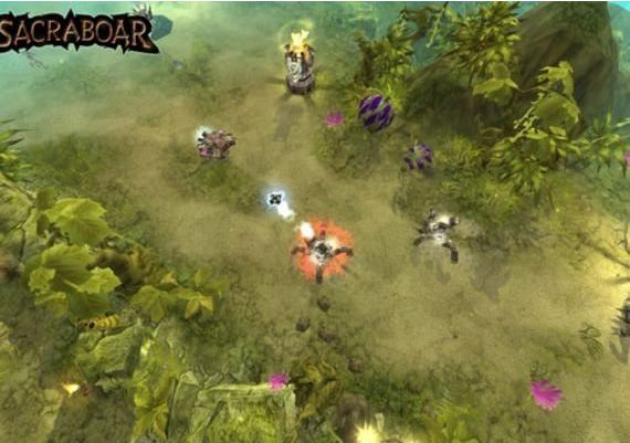 Sacraboar EN/DE Global Steam Digital Key