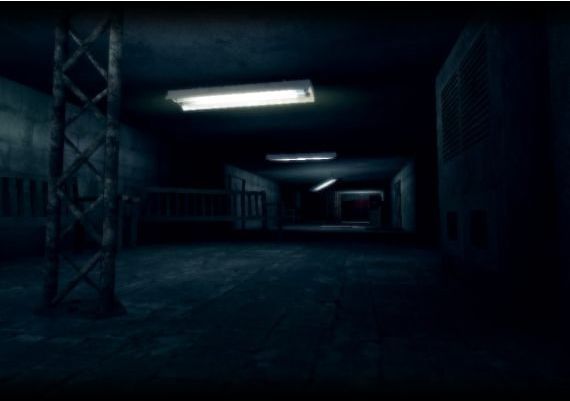 The Inevitability EN/RU Global Steam Digital Key