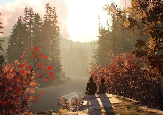 Life is Strange 2 - Episodes Bundle DLC Episode 2 Edition EU Steam Digital Key