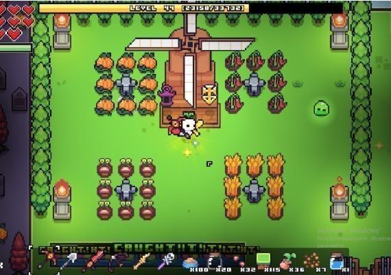 Forager North America Steam Digital Key