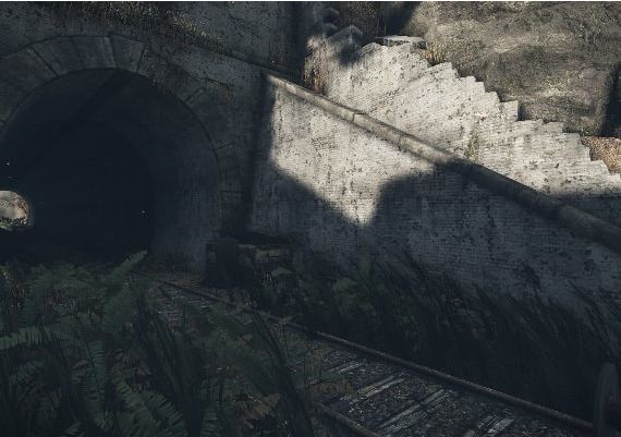 The Lost Valley EN/DE/FR/IT/PL/RU/ES/UK Global Steam Digital Key