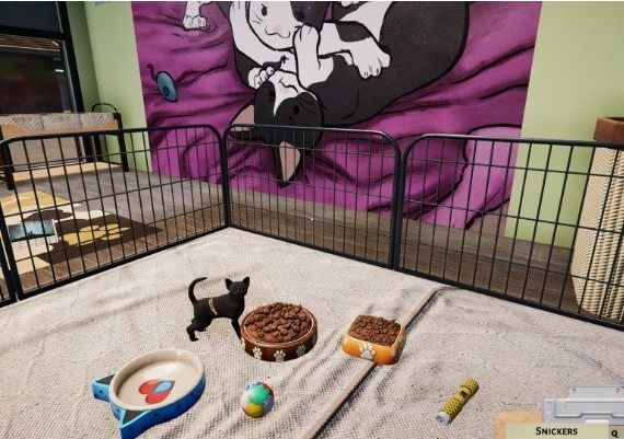 Animal Shelter: Puppies and Kittens DLC Global Steam Digital Key