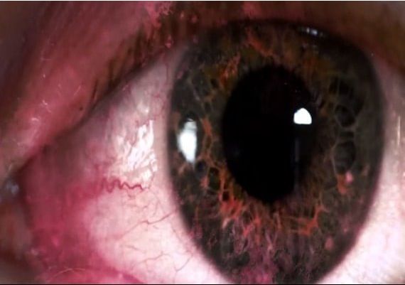 Dark Passenger EN Global Steam Digital Key