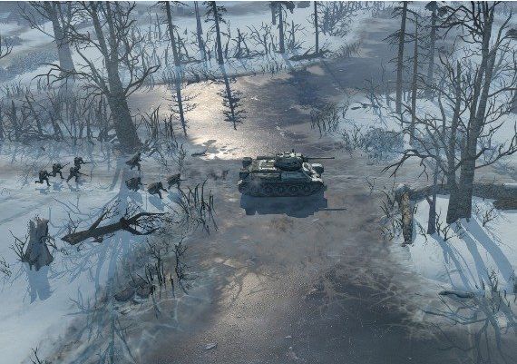 Company of Heroes 2 Collector's Edition EN/DE/FR/IT/PL/CS/RU/ES Global Steam Digital Key