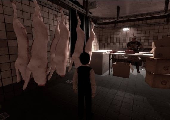 Lucius EN/DE EU Steam Digital Key