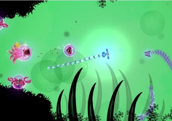 Glowfish EN Global Steam Digital Key