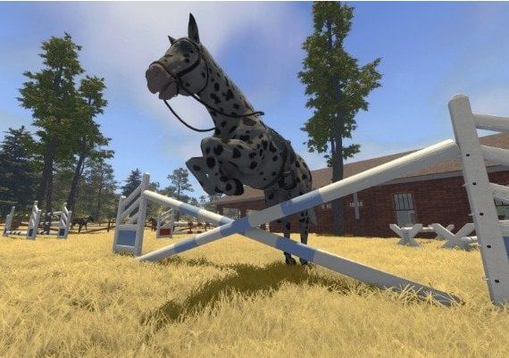 House Flipper: Farm DLC EN North America PS4 Digital Key