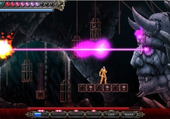 Dire Vengeance EN Global Steam Digital Key