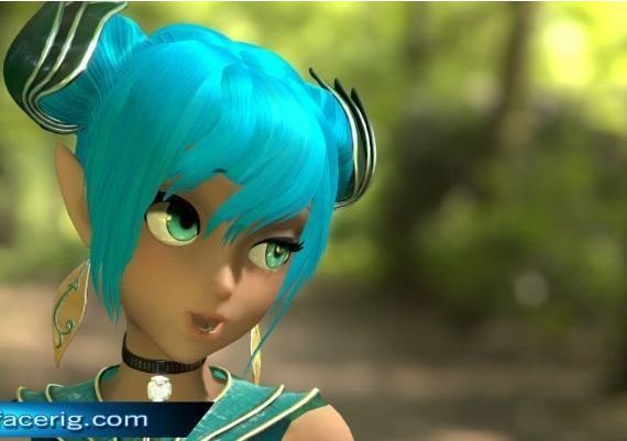 FaceRig EU Steam Digital Key