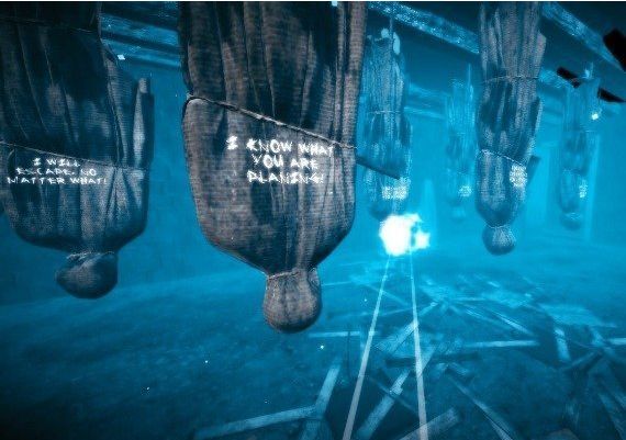 Murder Diaries EN Global Steam Digital Key