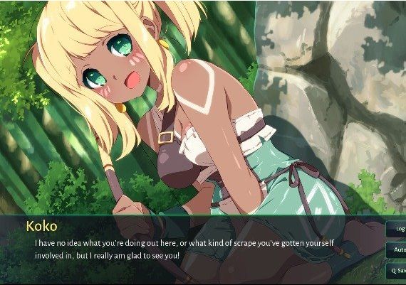 Sakura Forest Girls 3 EN/ZH Global Steam Digital Key