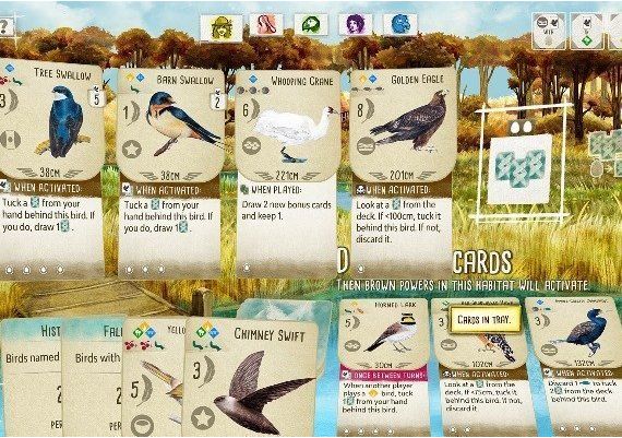 Wingspan Global Steam Digital Key