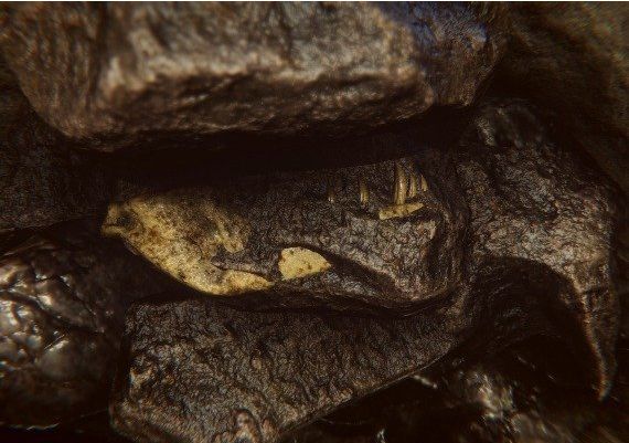 Dinosaur Fossil Hunter Global Steam Digital Key