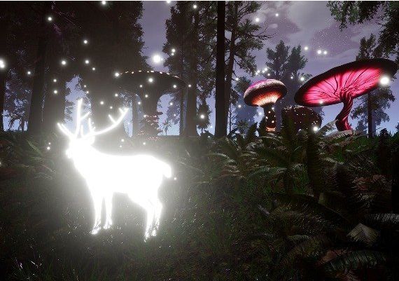 Lucid Cycle EN EU Nintendo Switch Digital Key