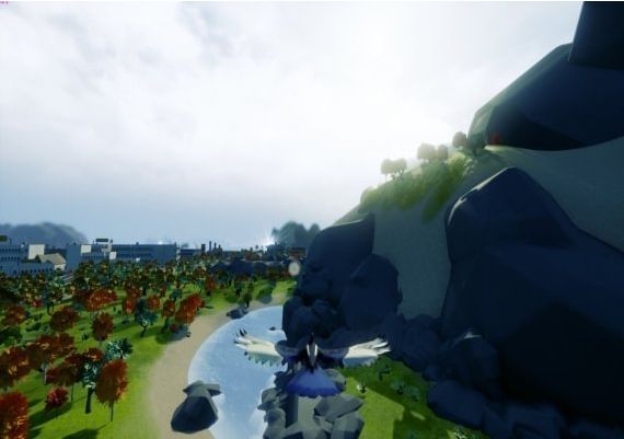 Copoka EN Global Steam Digital Key