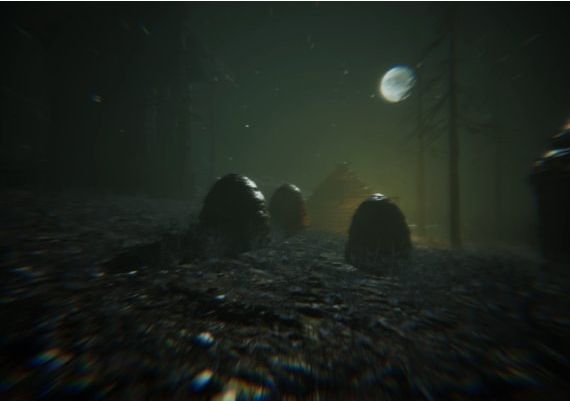 Gevaudan EN/FR Global Steam Digital Key