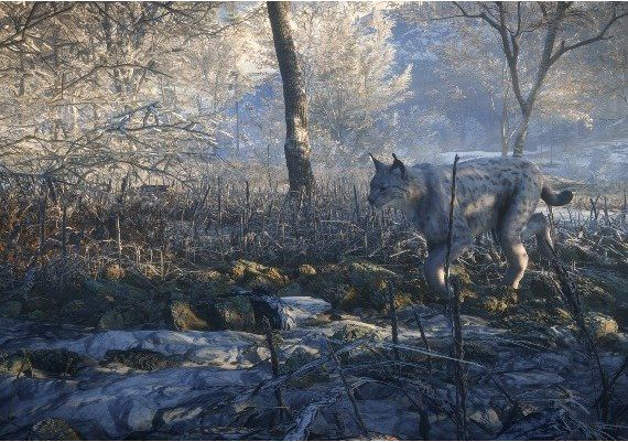 theHunter: Call of the Wild - Medved-Taiga DLC EU Steam Digital Key